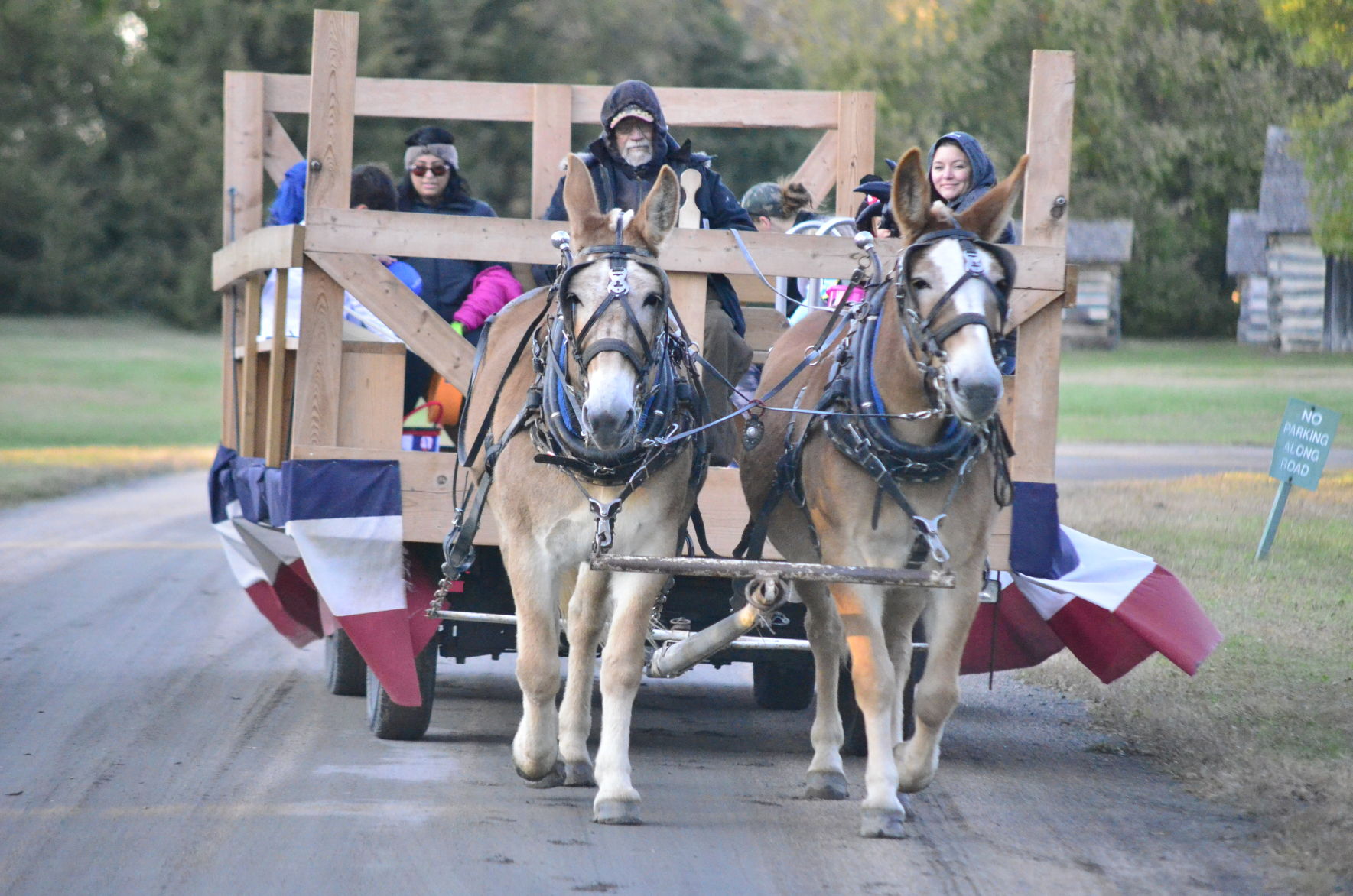 10-11-19 Stuhr All Hollows Eve (18).JPG